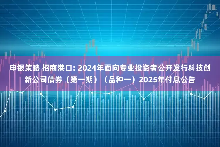 申银策略 招商港口: 2024年面向专业投资者公开发行科技创新公司债券（第一期）（品种一）2025年付息公告