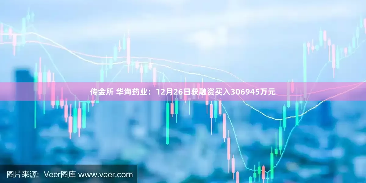 传金所 华海药业：12月26日获融资买入306945万元